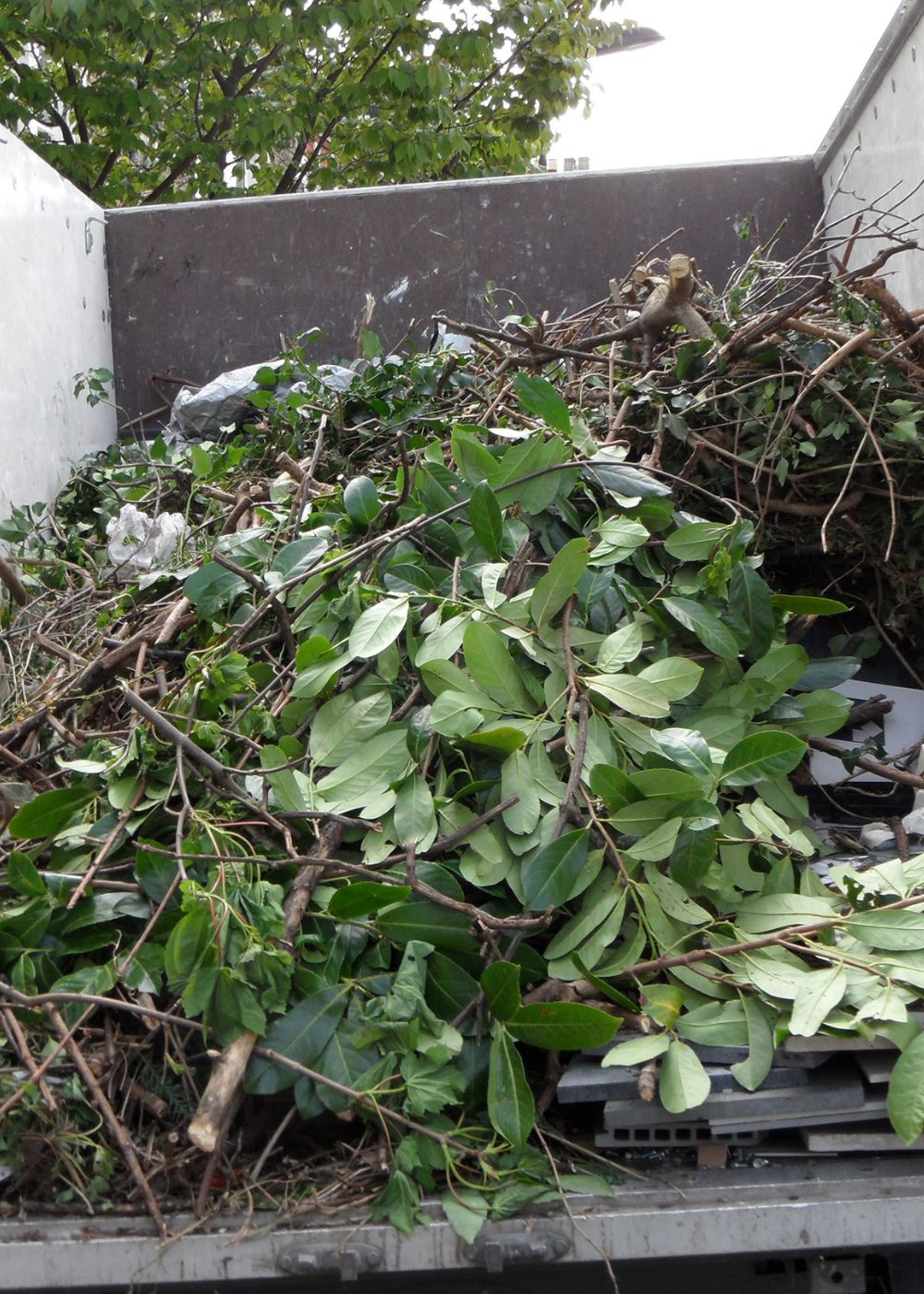 Garden rubbish removal